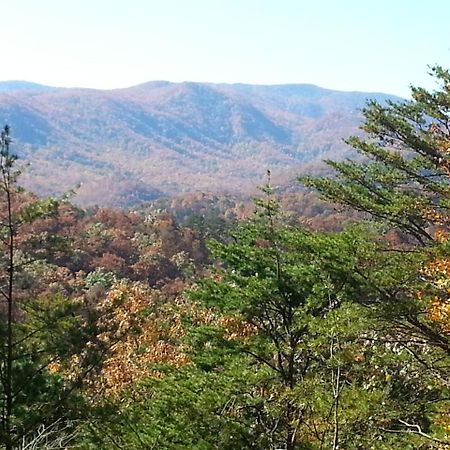 Hillbilly Hilton Chalet Βίλα Pigeon Forge Εξωτερικό φωτογραφία