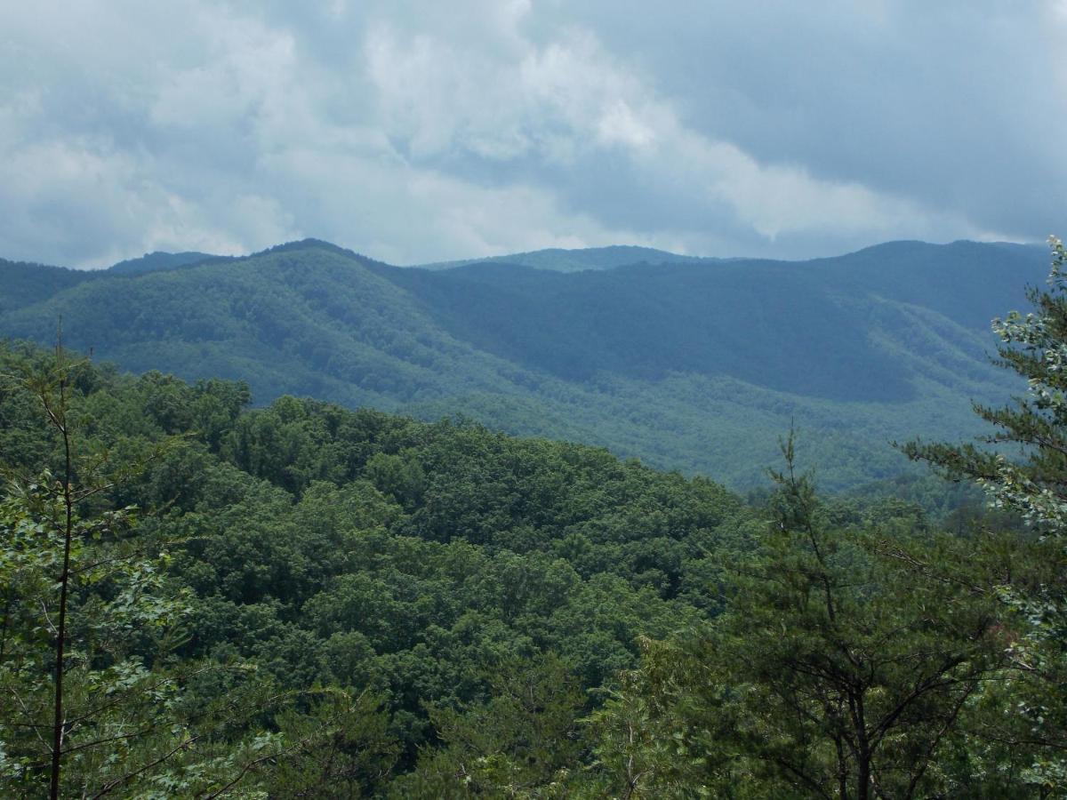 Hillbilly Hilton Chalet Βίλα Pigeon Forge Εξωτερικό φωτογραφία